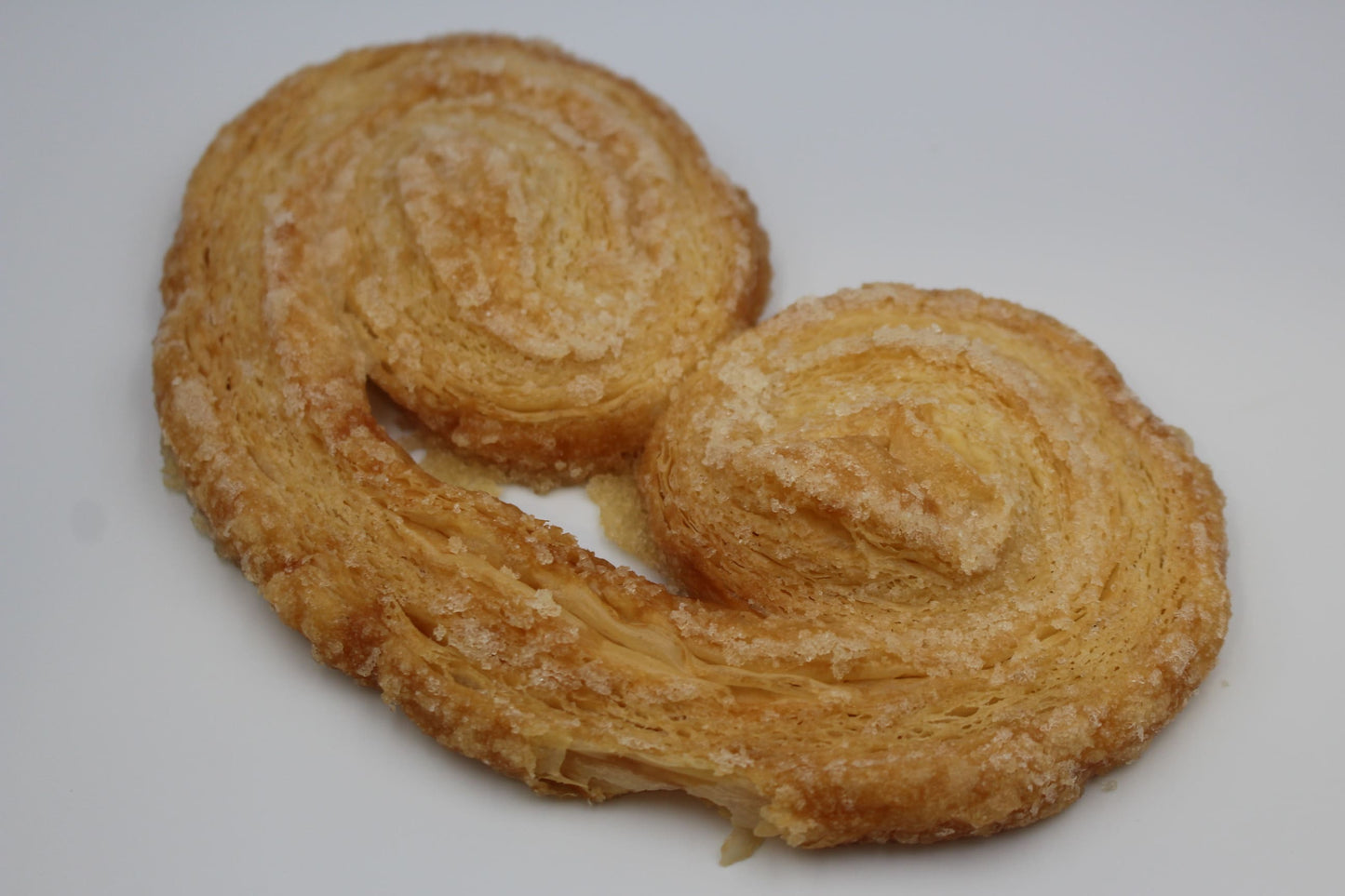PALMERA
